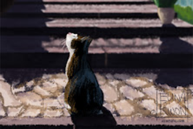 MFA Visual Development